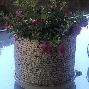 Meet your Posher, Posh